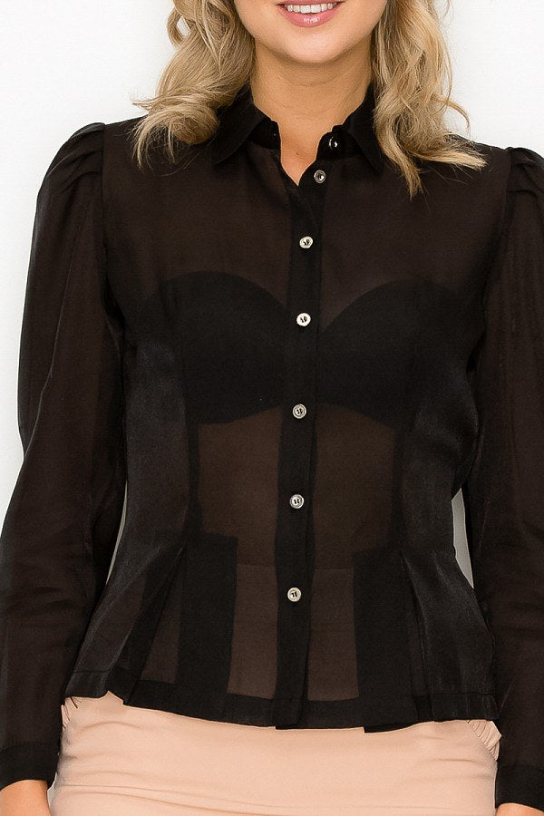 Organza Pleated Long Sleeve Blouse